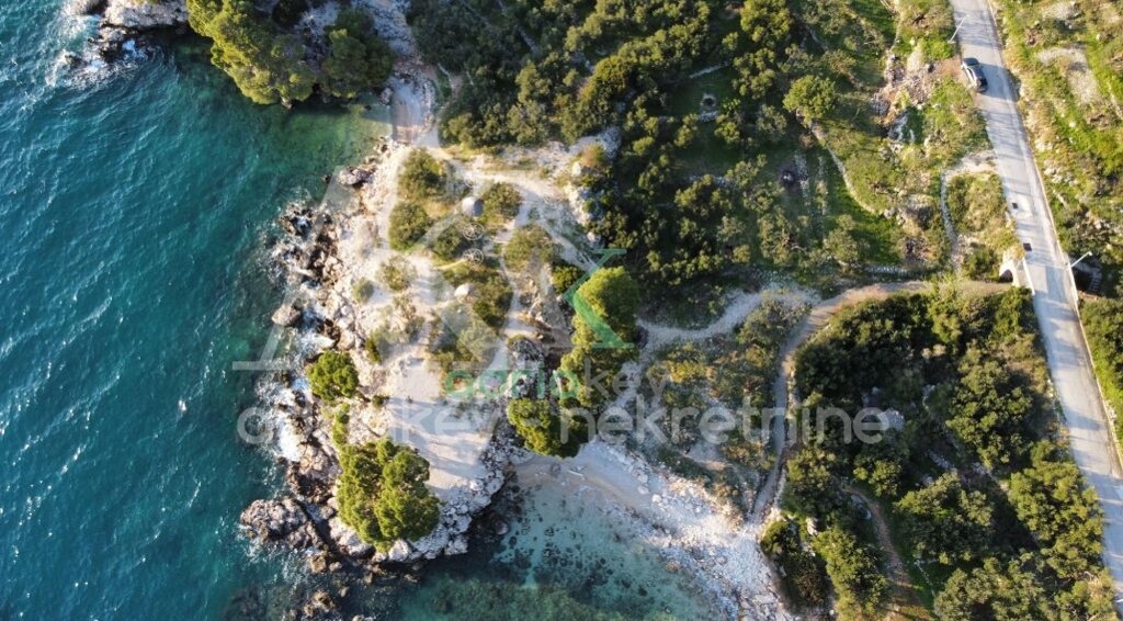 Image 6103973 - 1