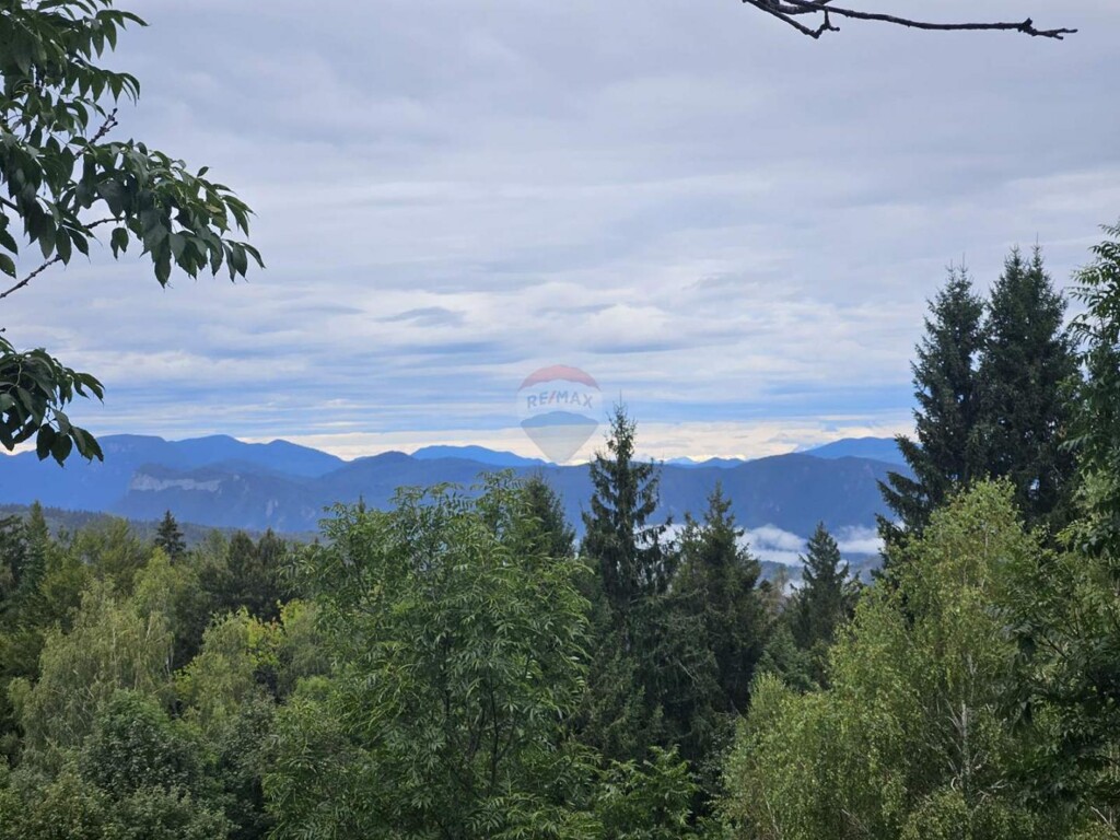 Image 6104450 - 1