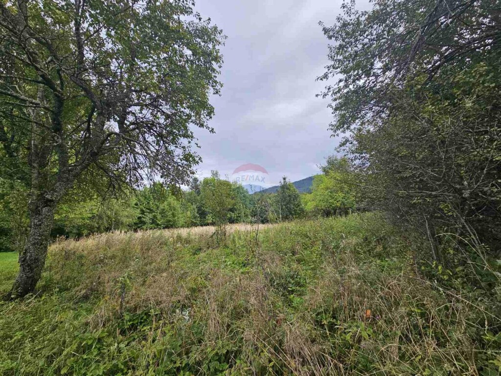 Image 6104450 - 6