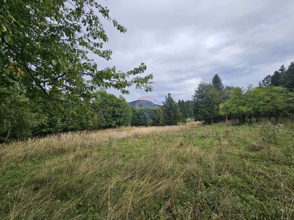 Image 6104450 - 5