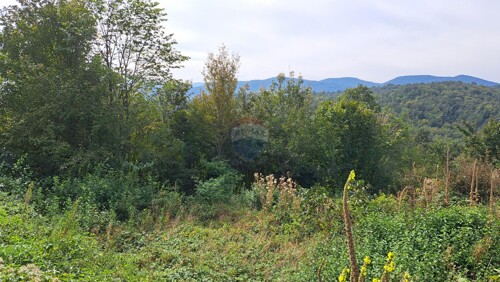 Thumbnail 6104453 - 1