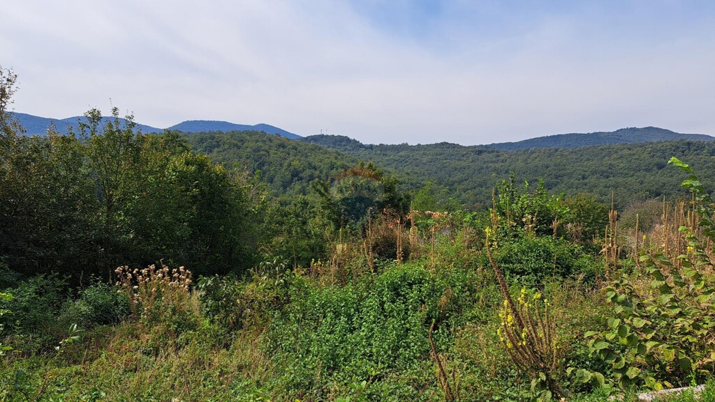 Image 6104453 - 3