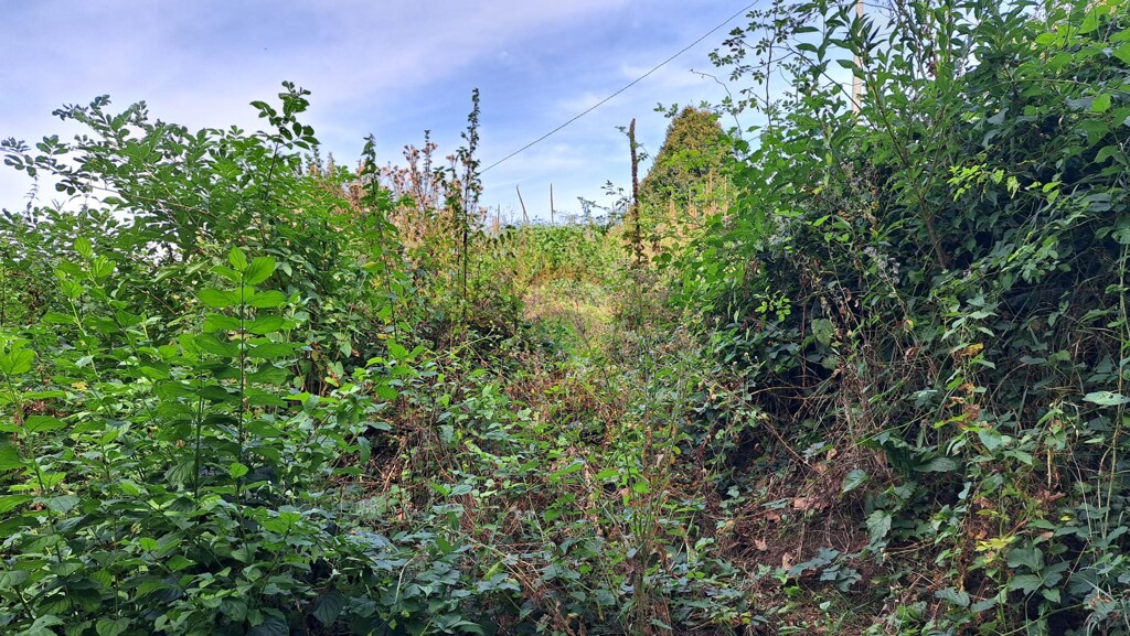 Image 6104453 - 2