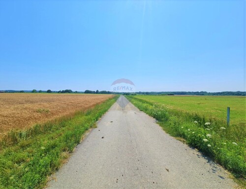 Thumbnail 6104455 - 2