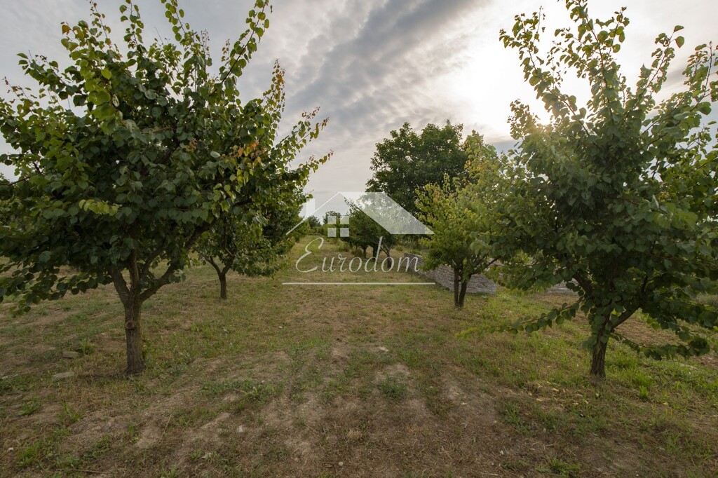 Image 6104504 - 7