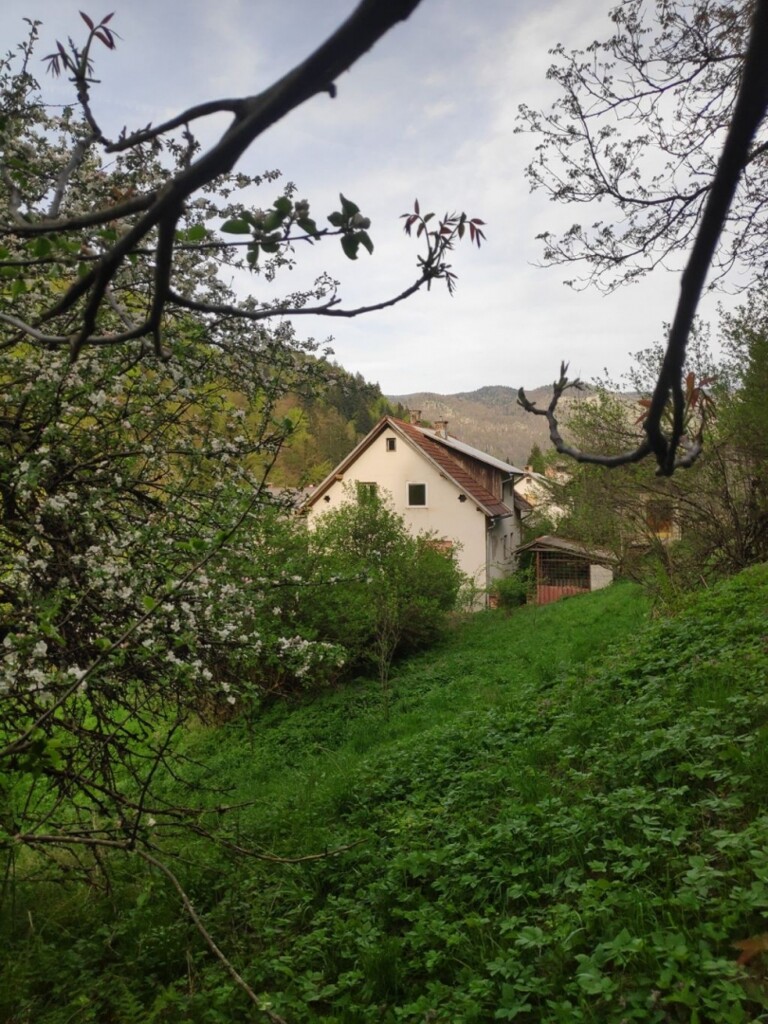 Image 6104680 - 23