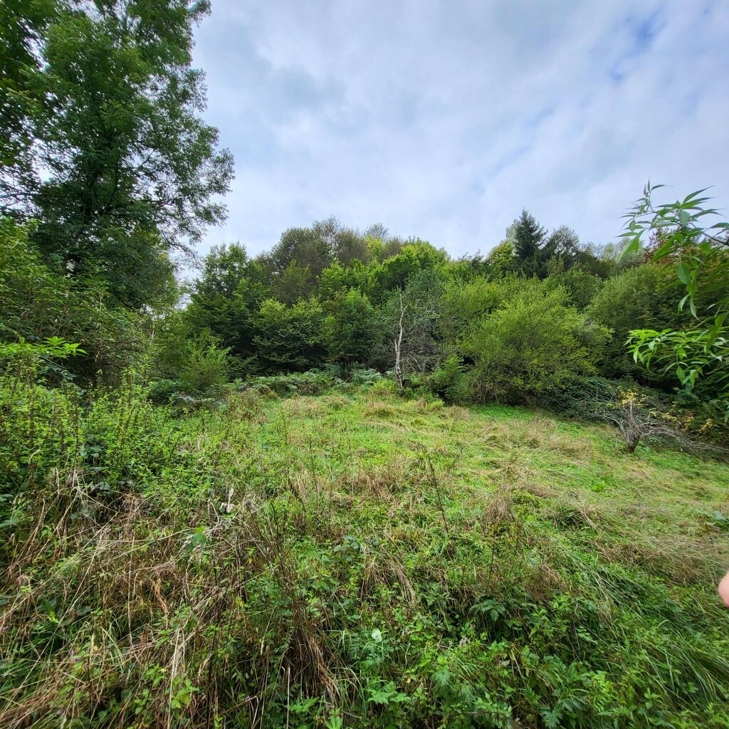 Image 6104680 - 24