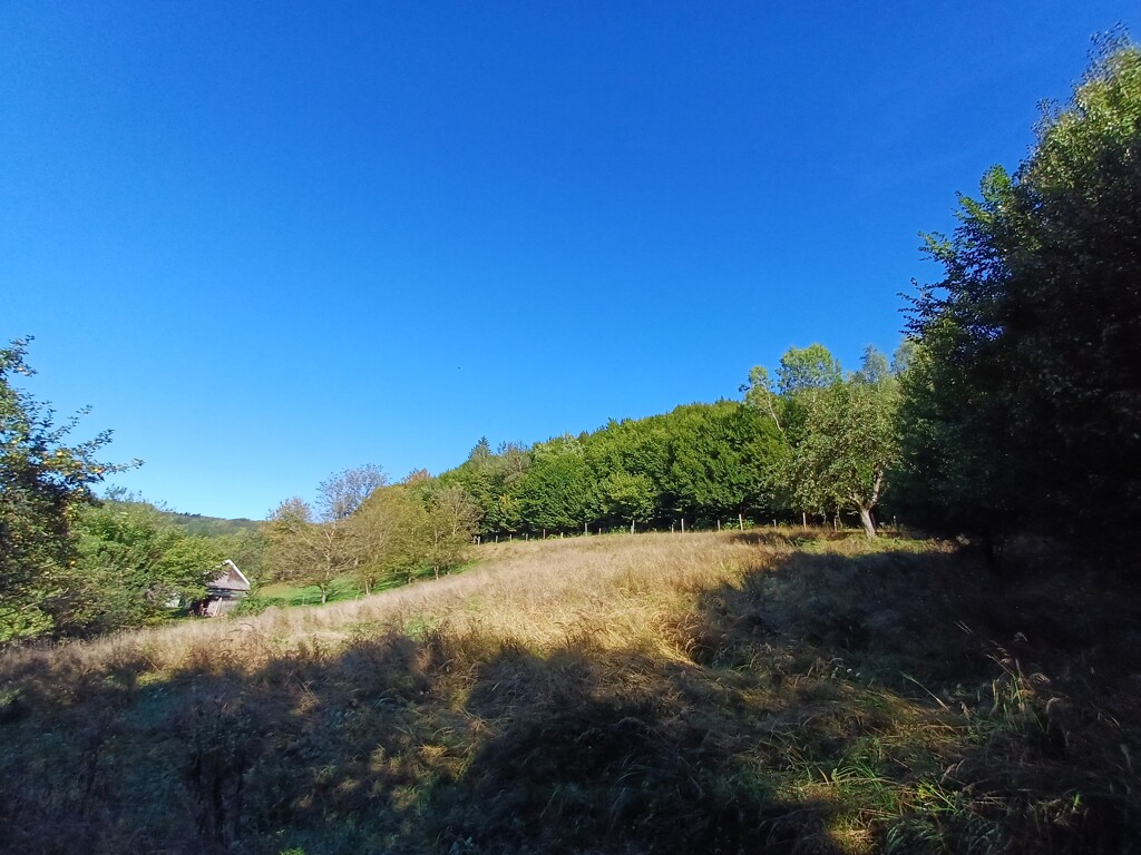 Image 6105260 - 1