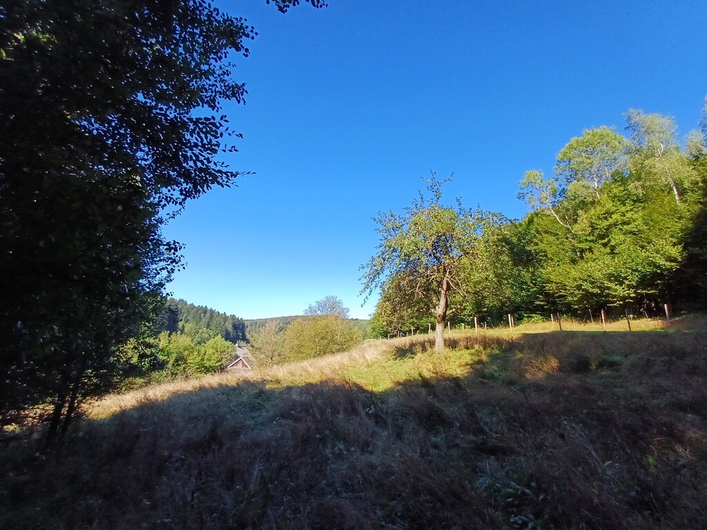 Image 6105260 - 3