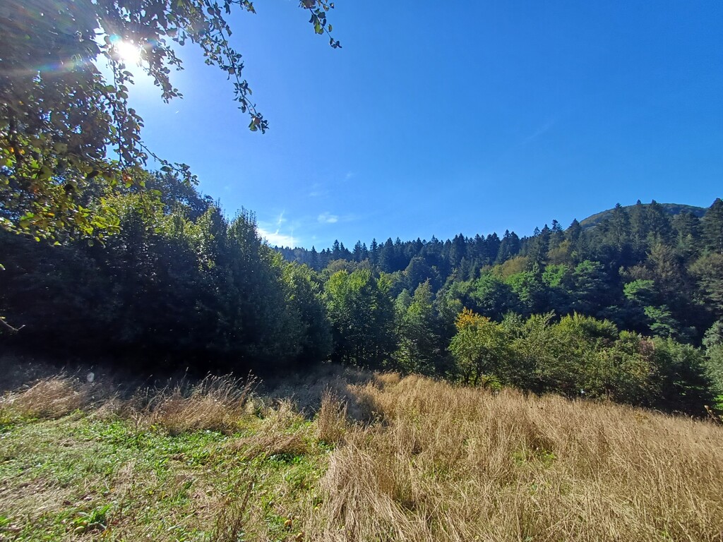 Image 6105260 - 4