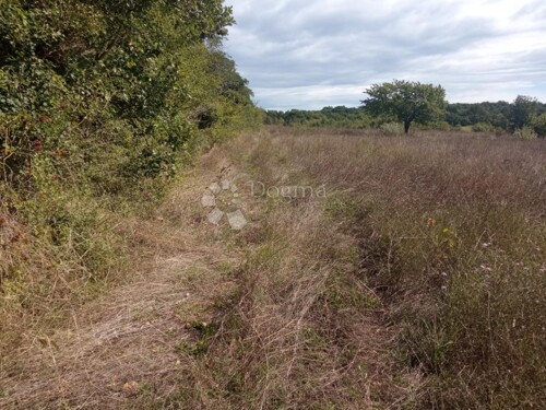 Thumbnail 6105579 - 7