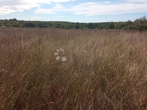 Thumbnail 6105579 - 8