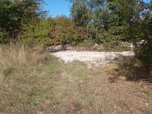 Thumbnail 6105579 - 2