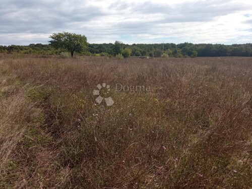 Thumbnail 6105579 - 9