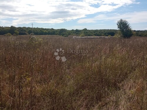 Thumbnail 6105579 - 5