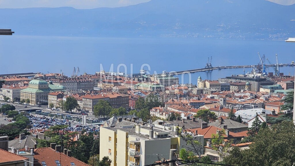 Image 6105629 - 14