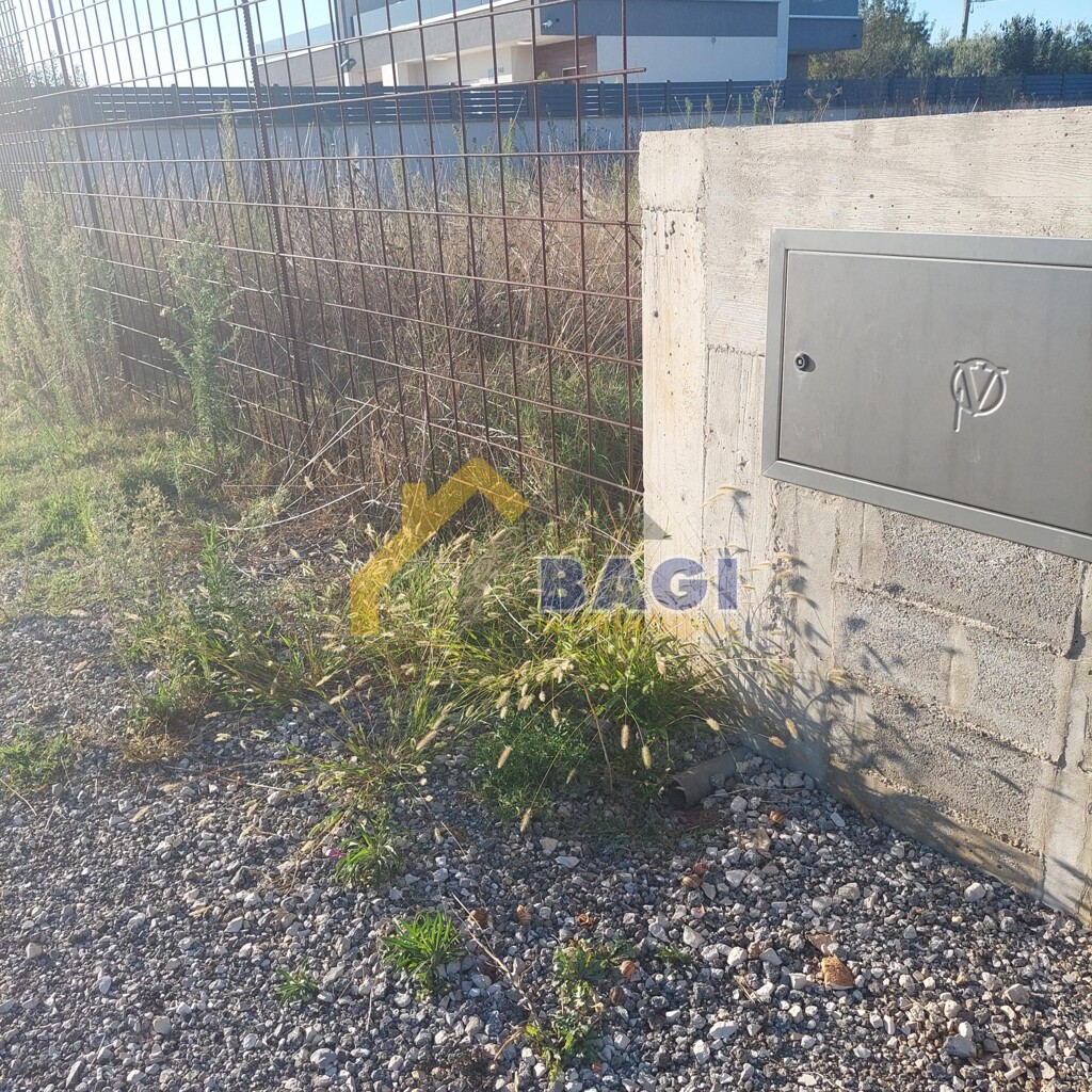 Image 6106245 - 2