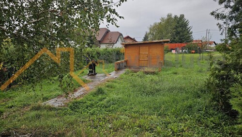 Thumbnail 6106335 - 5