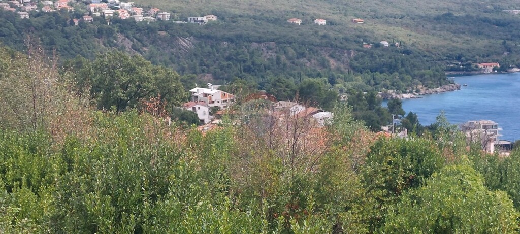 Image 6106469 - 4