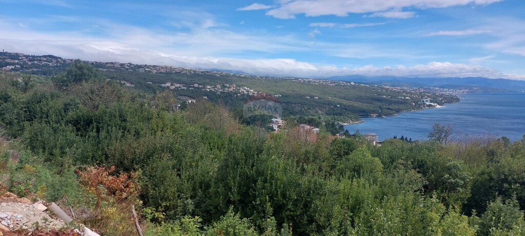 Image 6106469 - 3
