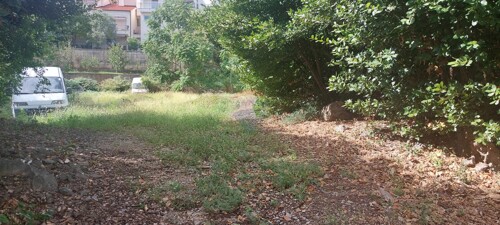 Thumbnail 6106471 - 1