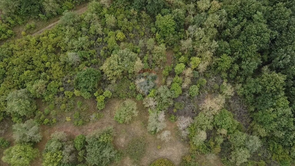 Image 6106475 - 2