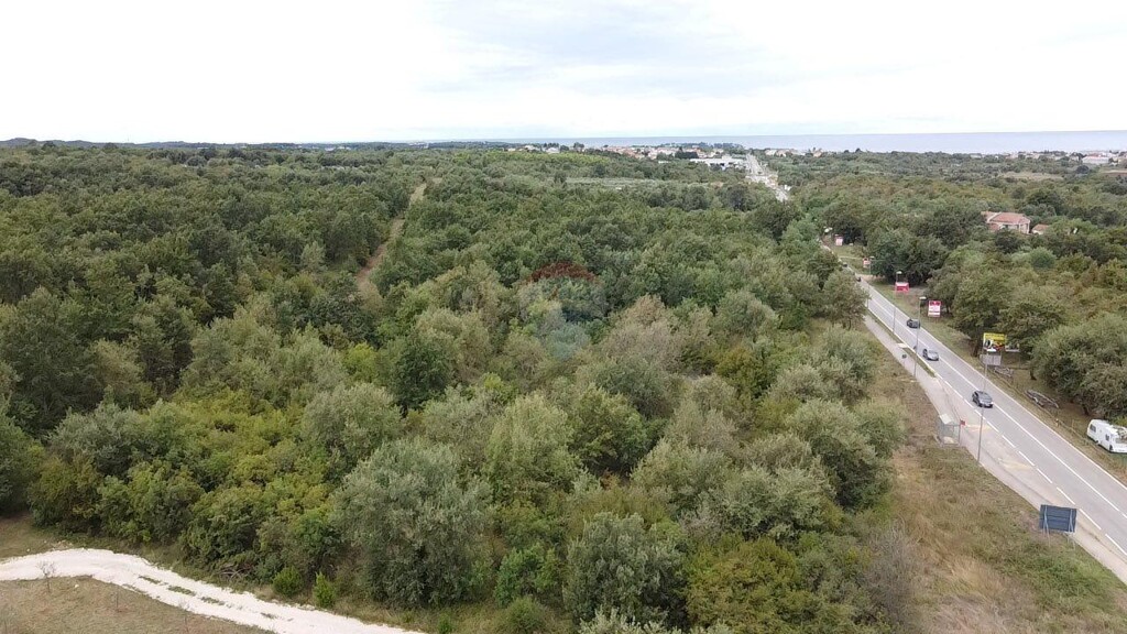 Image 6106475 - 4