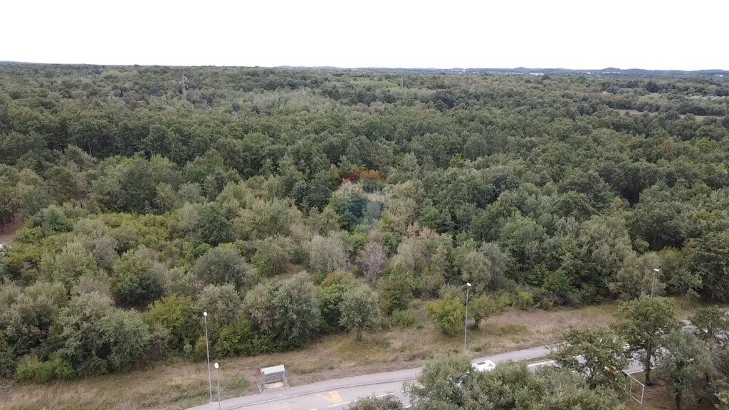Image 6106475 - 3