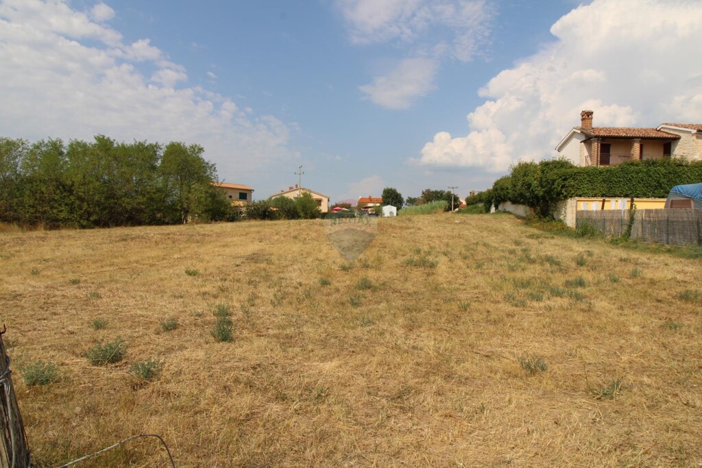 Image 6106478 - 4