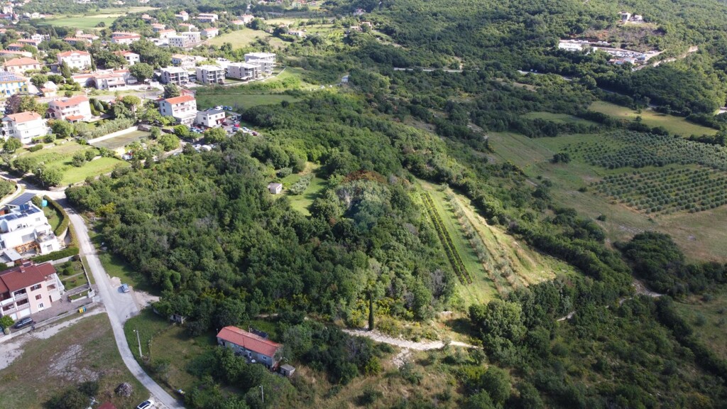 Image 6106480 - 4