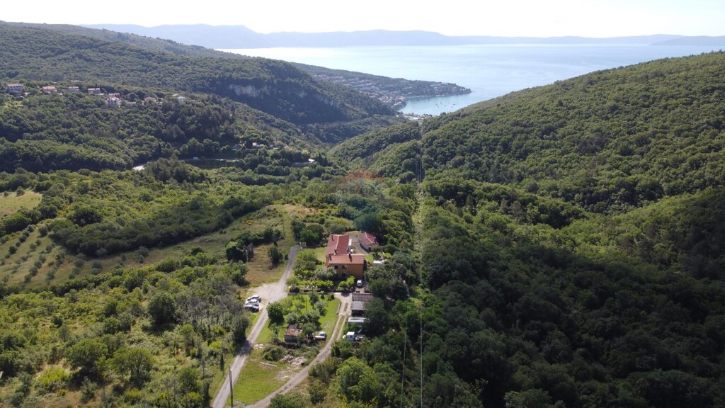 Image 6106480 - 2