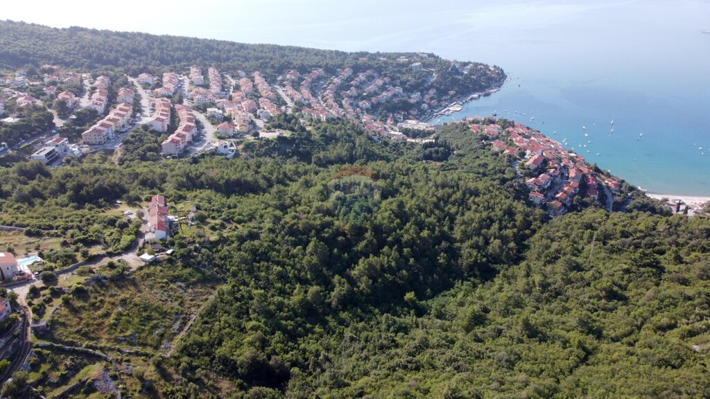 Image 6106481 - 1