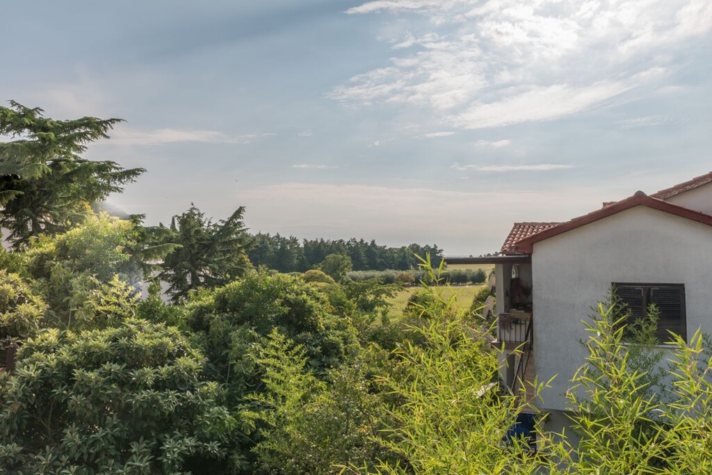 Image 6106502 - 2