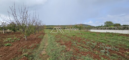 Thumbnail 6106703 - 1