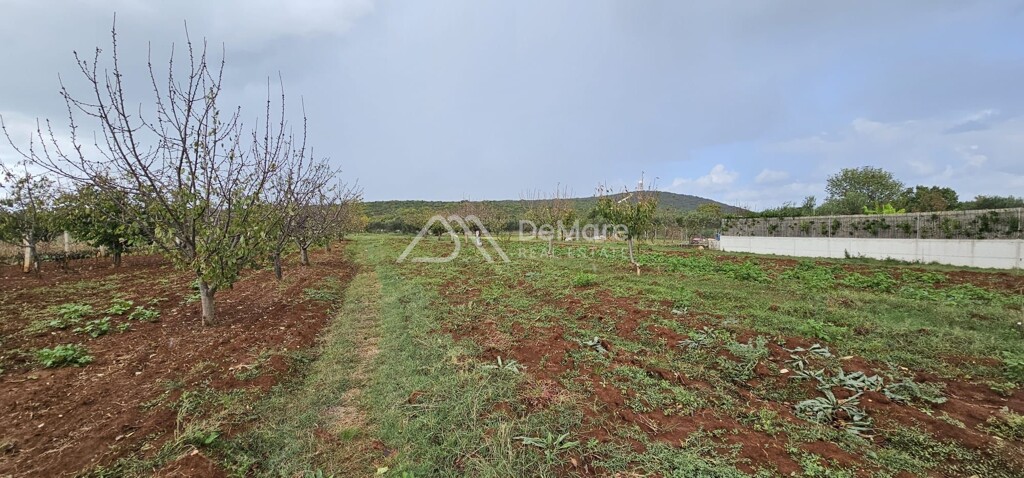Image 6106703 - 1