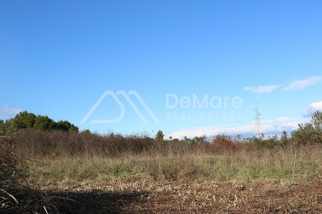 Image 6106705 - 1