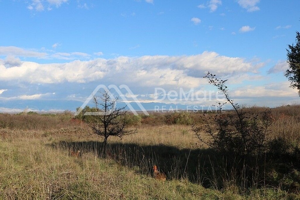 Image 6106705 - 2