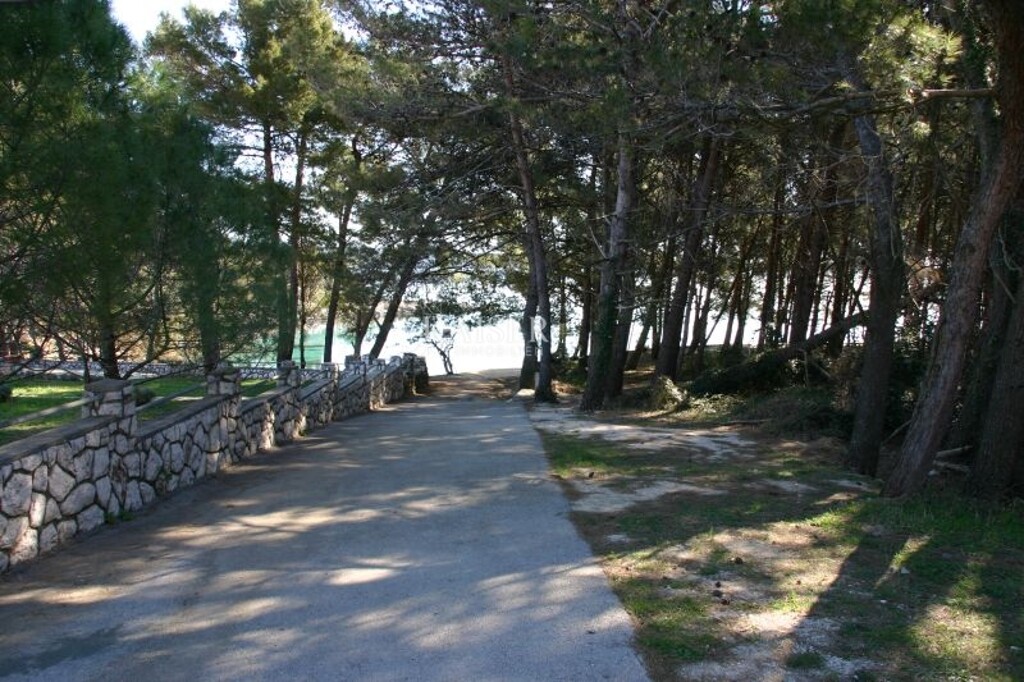 Image 6107618 - 15