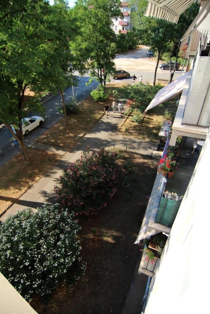 Image 6107708 - 25