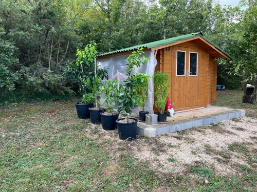 Rovinj, Prekrasno uređeno zemljište, 6.150m2