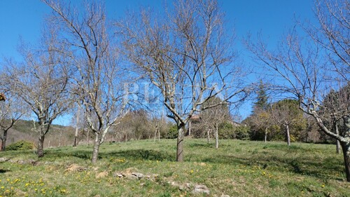 Thumbnail 6108118 - 3