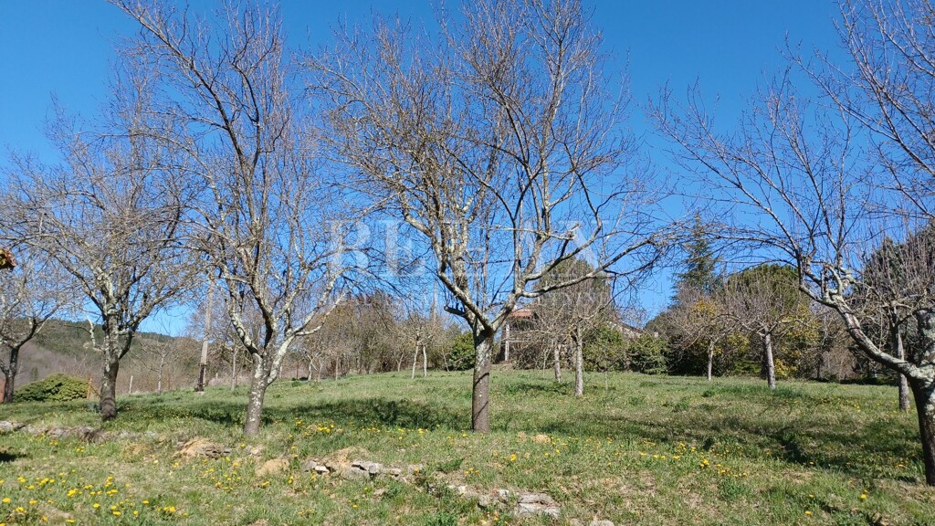 Image 6108118 - 3