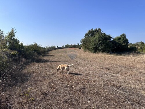 Thumbnail 6108241 - 3