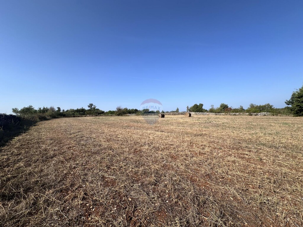 Image 6108241 - 2