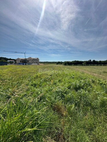Thumbnail 6109037 - 6