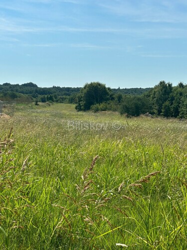 Thumbnail 6109037 - 9