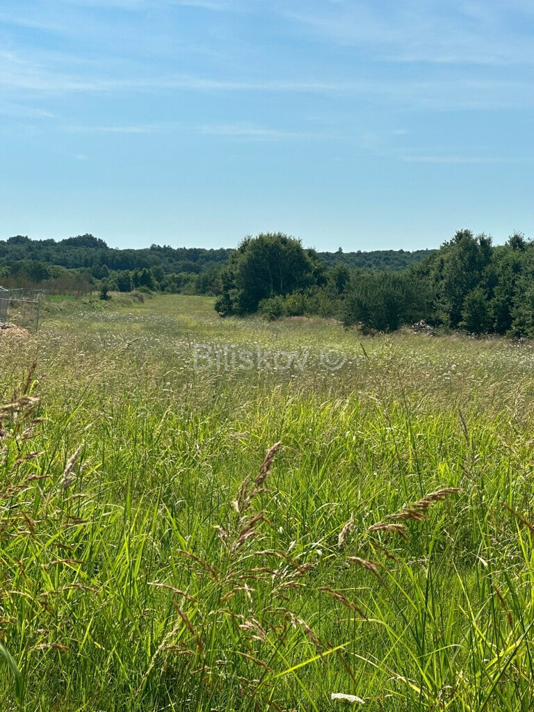 Image 6109037 - 9