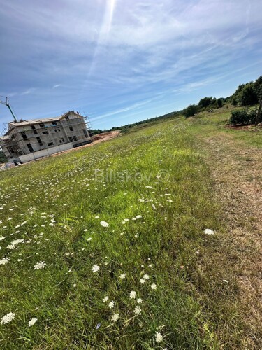Thumbnail 6109037 - 8