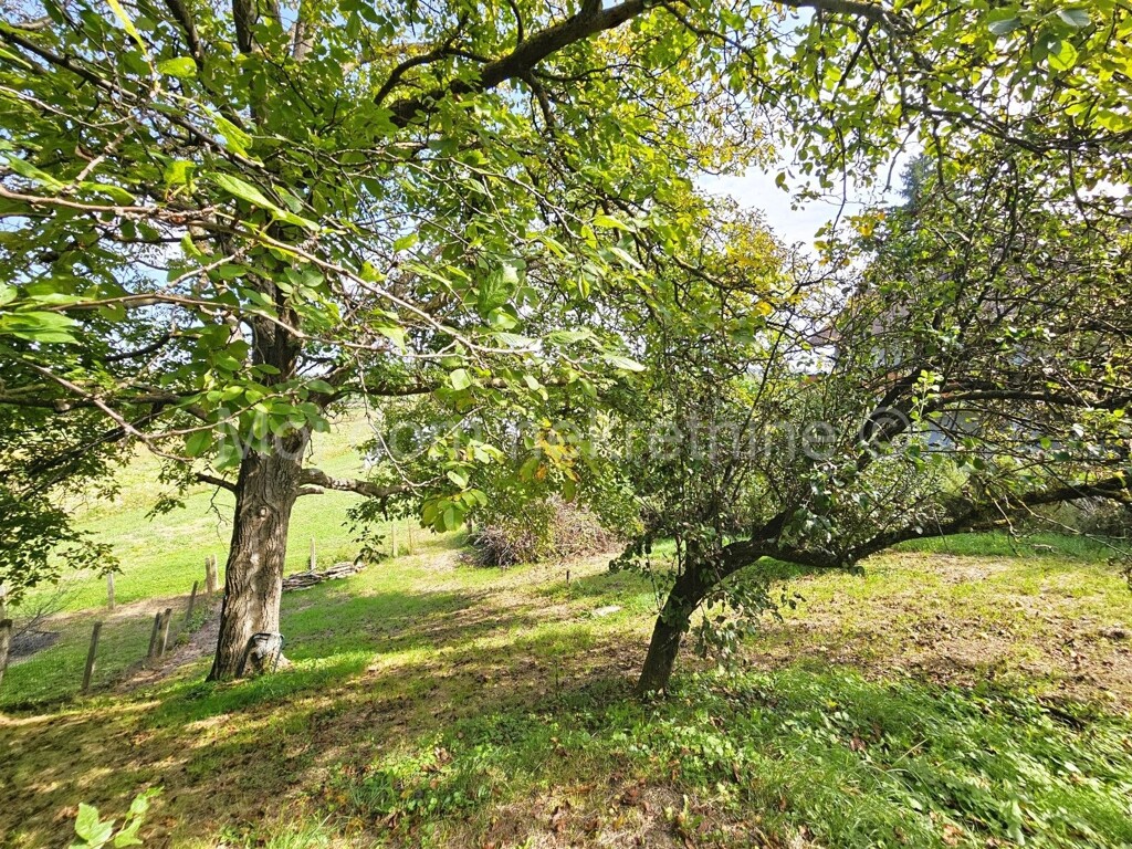 Image 6109052 - 4