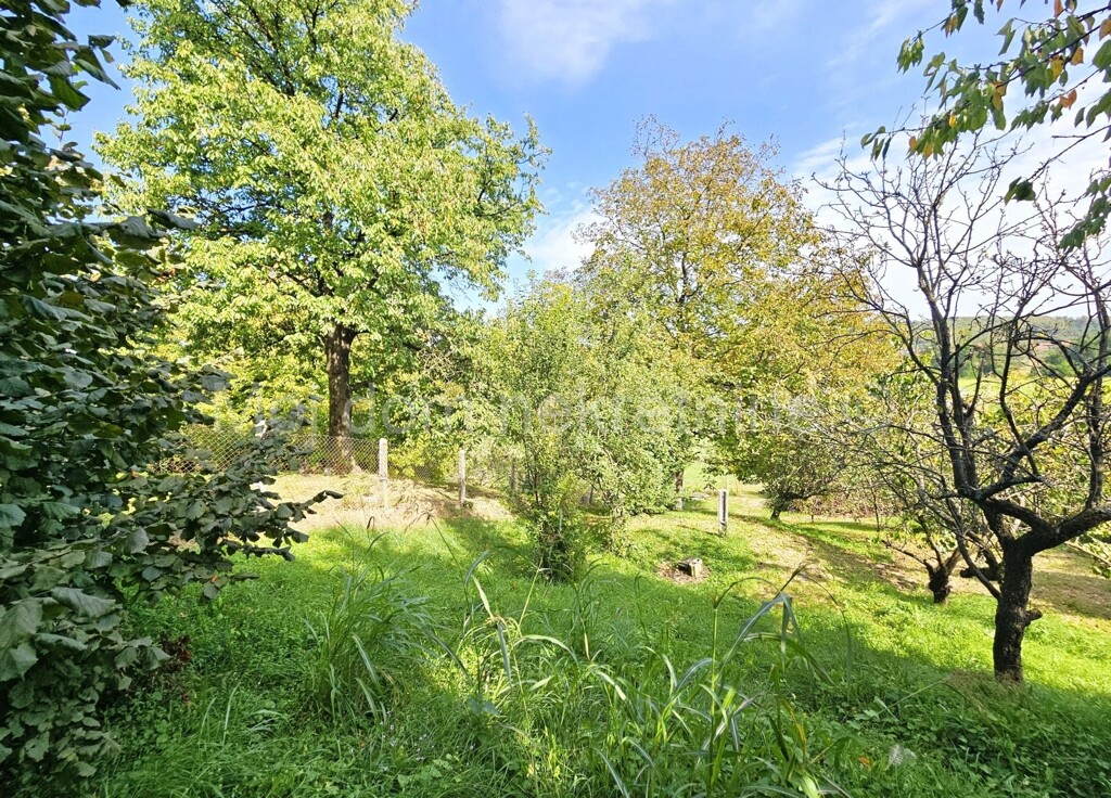 Image 6109052 - 3